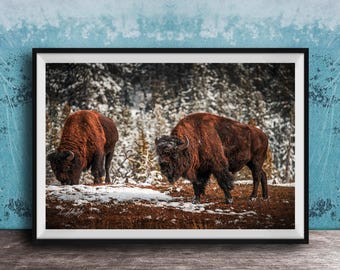 Bison Wall Art Canvas: Snowy Scene, Rustic Cabin Decor