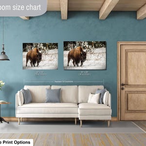 a living room with a white sofa and a wooden door. Above the sofa, there are two framed pictures of a bison in a snowy field. The living room has a blue wall and a wooden ceiling.