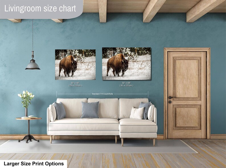 a living room with a white sofa and a wooden door. Above the sofa, there are two framed pictures of a bison in a snowy field. The living room has a blue wall and a wooden ceiling.