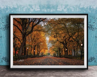Central Park Autumn Photo, The Mall (Sunrise, Fall Colors)