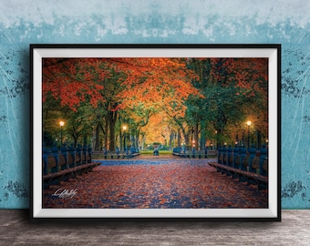 Central Park Wall Art: Autumn Sunrise and Sunset - NYC Landscape