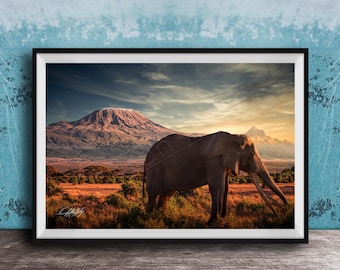 Big Tusker Craig, Mount Kilimanjaro, Safari Wall Art Elephant
