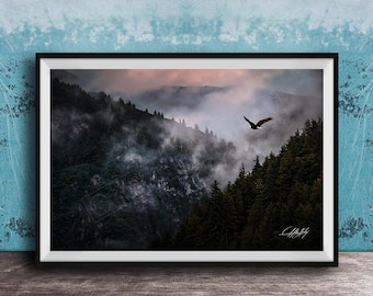 American Bald Eagle Wall Art: Alaska Wildlife Photography Print