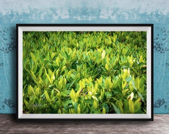 Gold Lotus Mandala Wall Art - Large Metal Spiritual Decor