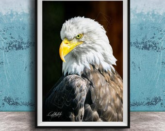 Alaska Bald Eagle, Sitka Sky Scene Wildlife Print | Majestic Bird Scene | Nature Wall Hanging