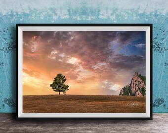Evergreen Tree Wall Art - Rocky Mountain Sunset Landscape