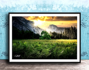 Ansel Adams "Lonely Oak" Yosemite Fine Art Historic Photo Print