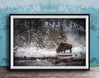 Yellowstone Bison Canvas Print, Snowy Scene (Multiple Sizes)
