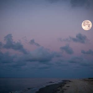 Moon Over Shoreline/Coastline Print/Canvas/Acrylic/Metal image 1