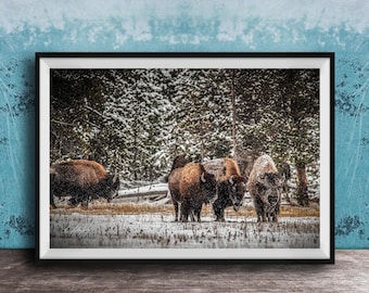 Bison Wall Art: Yellowstone Winter Scene - Rustic Wildlife Decor