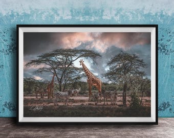 Safari Wall Art - Giraffe and Zebra Scene, Colorful Boho