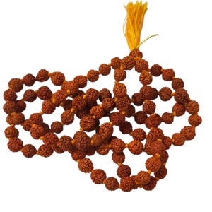 Lab Certified 5 Mukhi Rudraksha Japa Mala 108+1 Beads, Indian Origin, Lord Shiva Rosary, 6mm Prayer Beads for Meditation, Healing & Yoga