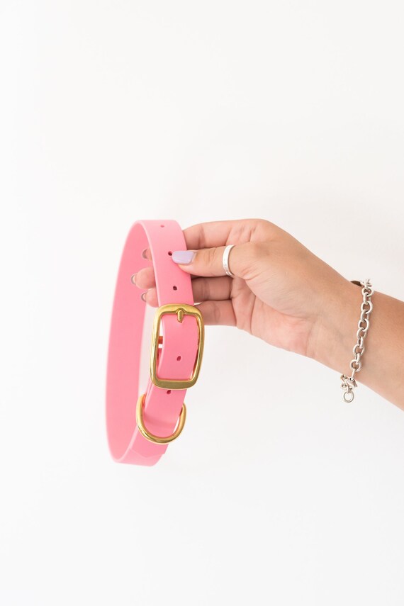 Pastel Pink Biothane Dog Collar Biothane Brass Waterproof Stink