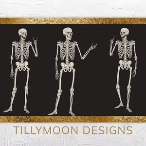 Halloween Frame TV Art, Samsung Frame TV Art Funny Skeletons, Goth or Neutral Artwork Frame TV