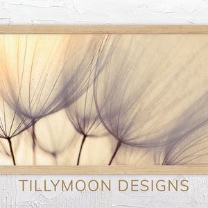 Frame TV Art Abstract Flowers | Dandelion Seeds | Soft Focus Spring Art for Samsung Frame TV Art Digital Download Modern Decor