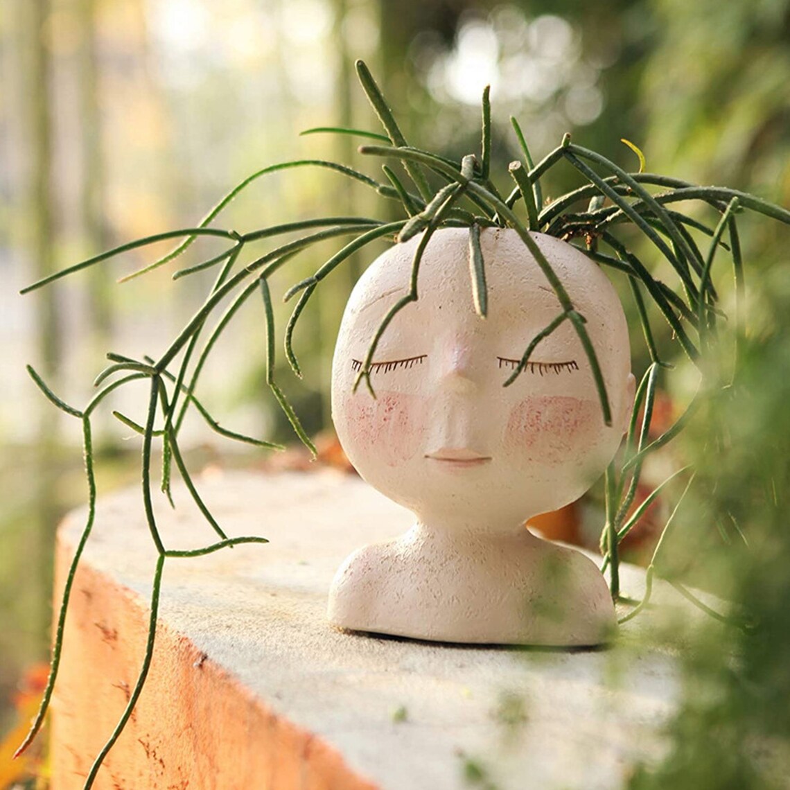 Face Flower Pot Head Planter Pot Succulent Planter Cute Etsy