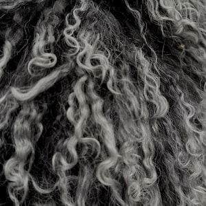 May include: Close-up of a textured, curly, gray and black fur. The fur has a dense, wavy pattern with varying shades of gray and black, creating a soft, luxurious appearance. The texture appears fluffy and inviting.