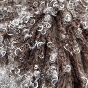 May include: Close-up of a brown and white curly fur texture. The fur is soft and fluffy, with a mix of brown and white curls.