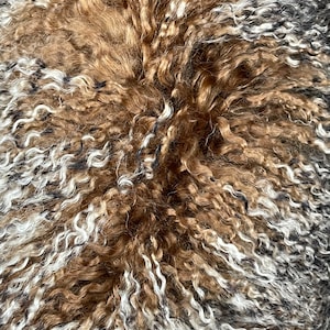 Può includere: Primo piano di un tappeto in pelle di pecora riccia marrone, bianco e nero. La pelliccia è morbida e soffice, con una varietà di motivi di riccioli.