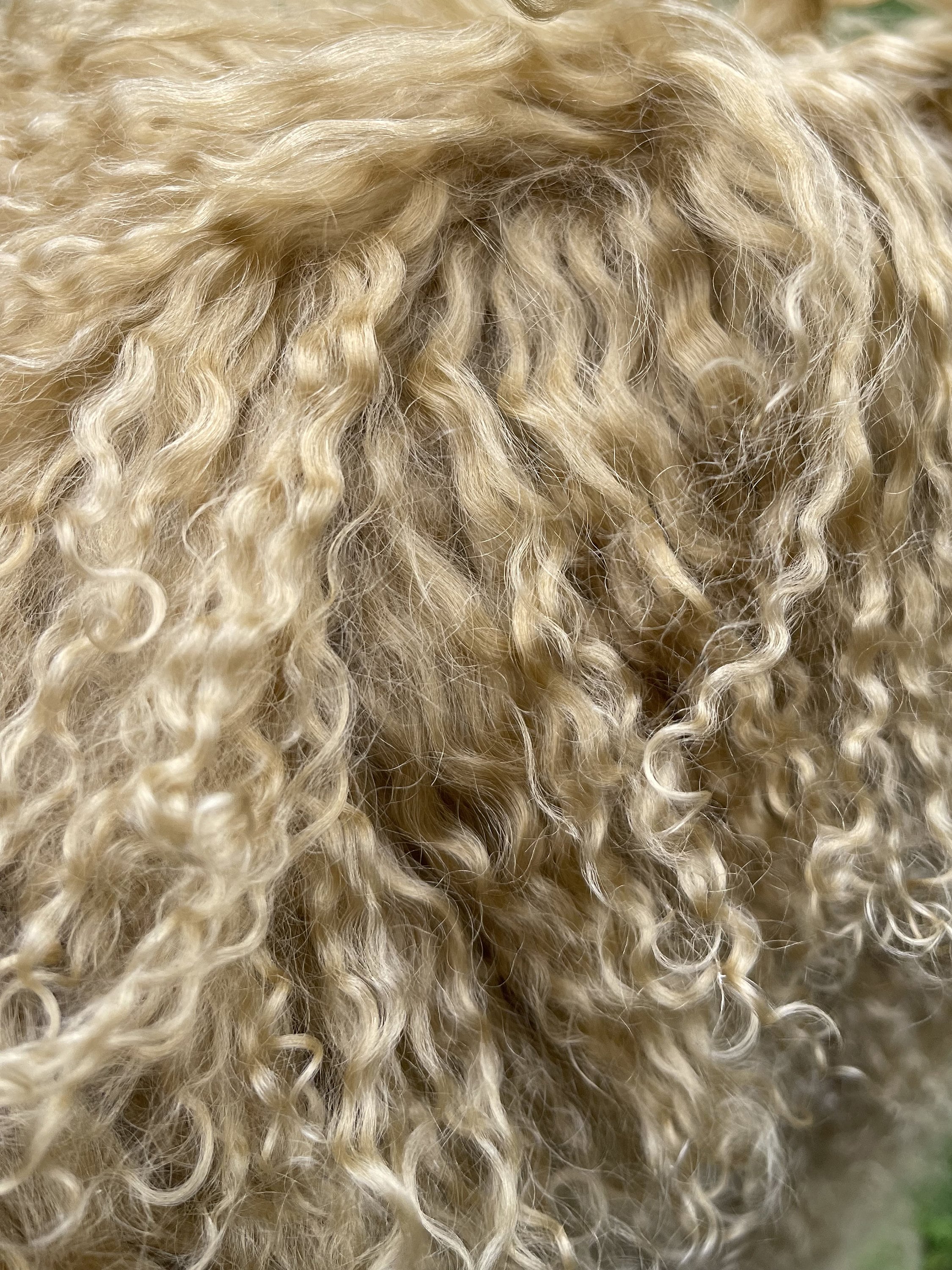 Faux Fur Fabric by The Yard Curly Plush Fabric Used for Background Clothing  Decoration 170 Cm Wide Sold by The Meter(Color:Light Brown)