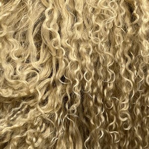 May include: Close-up of a textured, curly, light-colored material. The strands are tightly curled, creating a dense, wavy pattern. The color is a warm, light beige, with variations in tone throughout the surface.