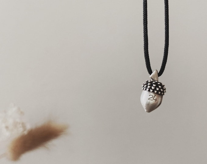 2024 silver lucky charm