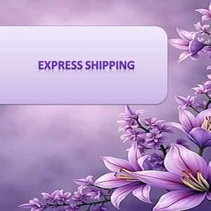 Express Shipping Upgrade