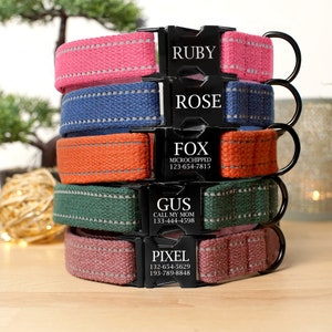 personalized large dog collars
