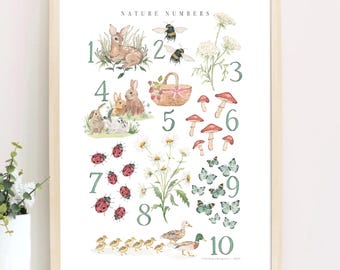 Nature Numbers Counting Poster, Baby Animals Counting Poster, Nursery Counting Print, Cottage Core Counting, Cottage Poster