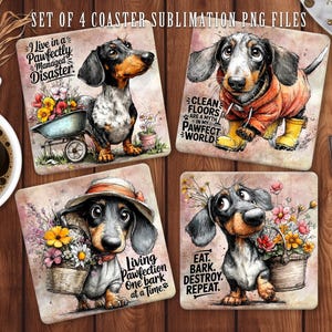 May include: Set of four square coasters with dachshund illustrations. Each coaster features a different dachshund design with floral accents and humorous text. The text includes phrases like "I live in a Pawfectly Managed Disaster."