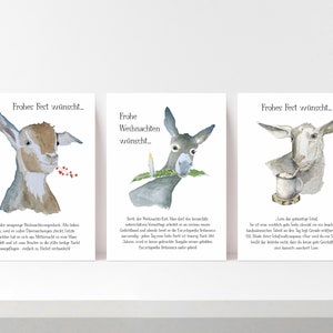 NEU: 3-er Set Weihnachtskarten mit originellen Texten, innen blanko, Fine-Art-Print auf Kunstdruckpapier