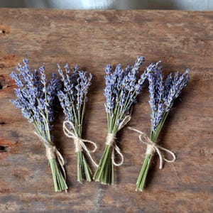 May include: Four bunches of dried lavender, each tied with twine. The lavender has purple flowers and green stems. The bunches are arranged on a rustic, wooden surface.