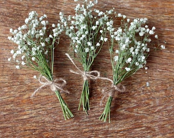 Mini Gypsophila Bouquet Tied with Rustic Twine | Dried Baby’s Breath Posy | Cottagecore Floral Decor | Rustic Wedding Flowers UK