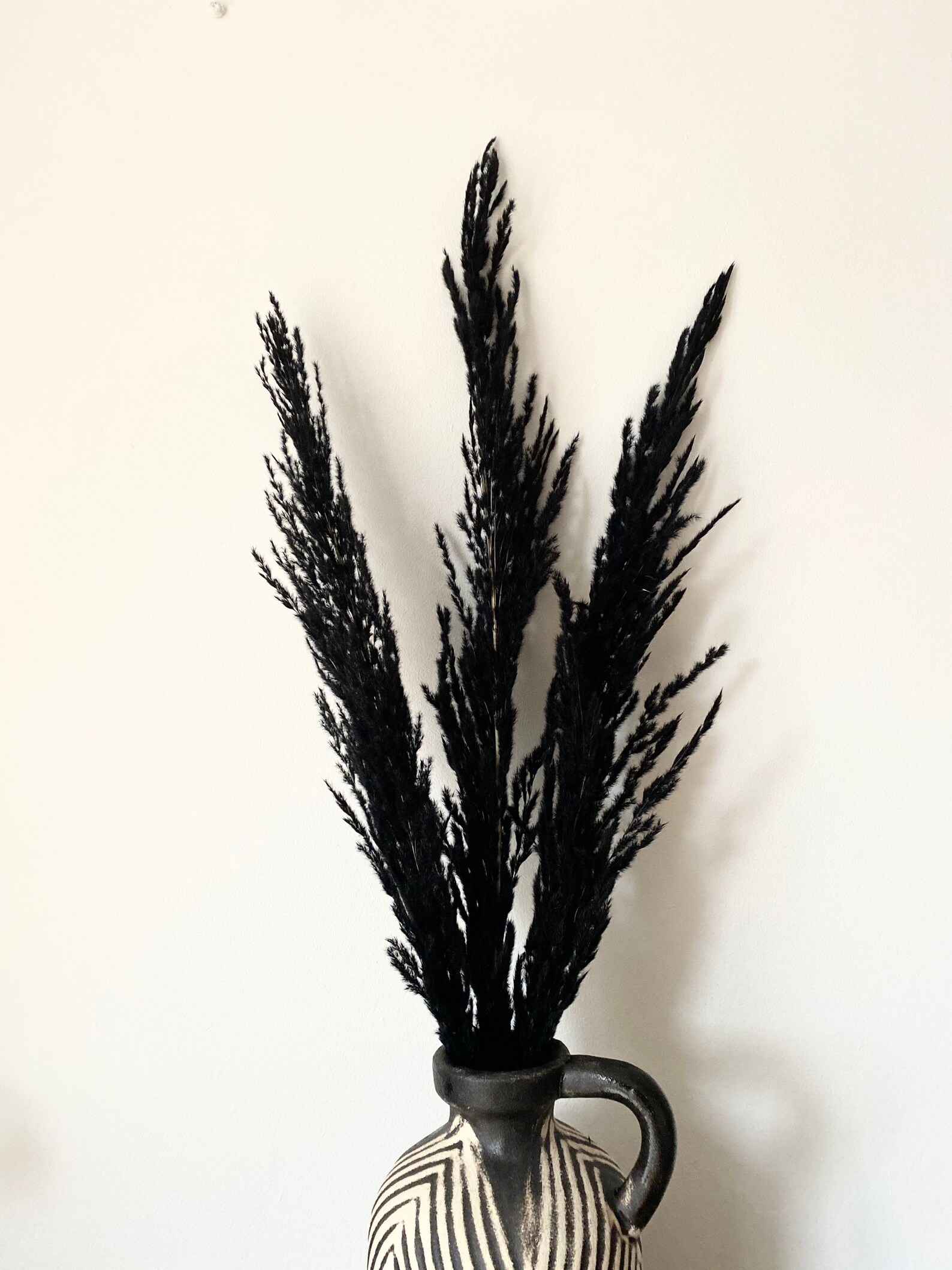 Black Pampas Grass 90cm Dried Pampas Grass Dried Flower Etsy