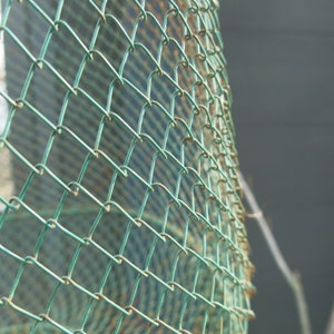 French fish basket image 3