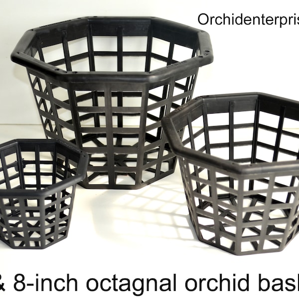 Orchid Basket Etsy