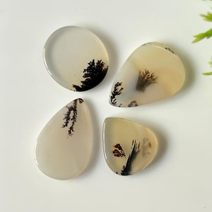 Può includere: Quattro pietre preziose di agata dendritica lucidata in varie forme: un cerchio, una goccia e due forme irregolari. Le pietre sono traslucide con sfumature bianco crema e beige, con intricate inclusioni nere a forma di felce. Le pietre sono su una superficie bianca.