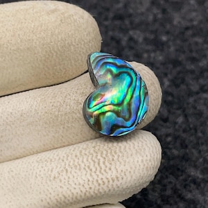 May include: A heart-shaped abalone shell with iridescent blue, green, and purple colors.