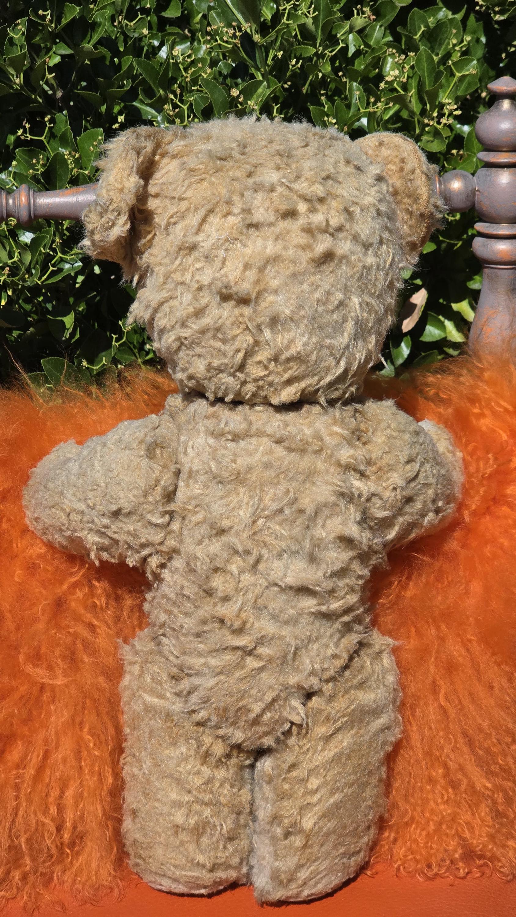 アンティークレアフランス製PINTEL 1930年代テディベア 19インチ(48cm