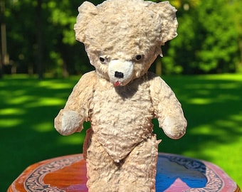 Ours En Peluche Ancien – Romain – Vieux Rose – Années 1930-40 – Hauteur 63 Cm