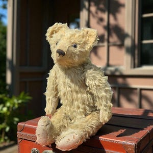 Antique French Fadap Teddy Bear c.1920s – Mohair Plush, Glass Eyes, 23”, Collectible Vintage Toy, Large Teddy Bear, Perfect Gift,Collectible