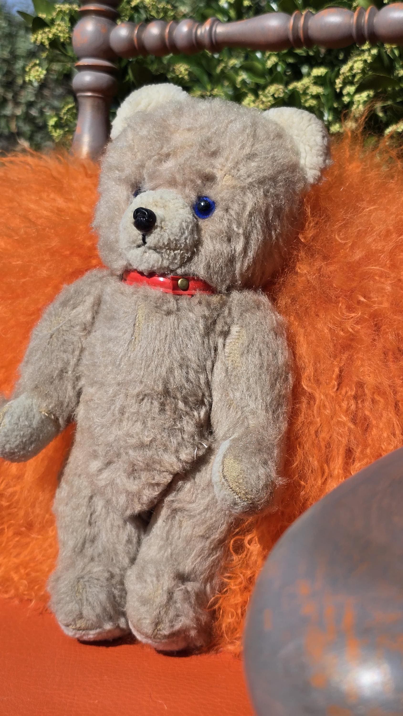 très rare petit ours Francais tres ancien old French small