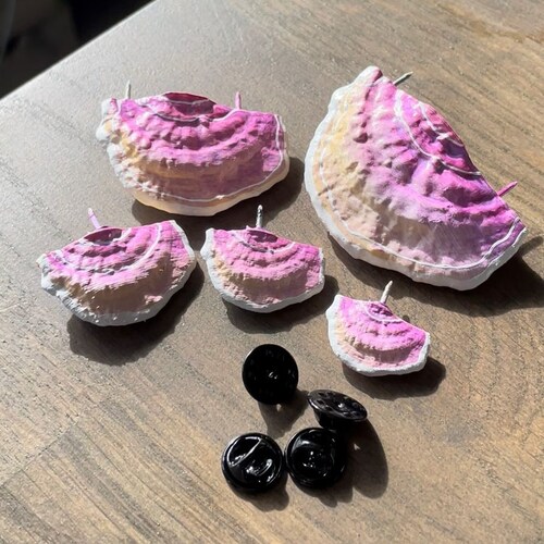 Mushroom Pins/shelf Fungi Dark Brown set of 5 Etsy