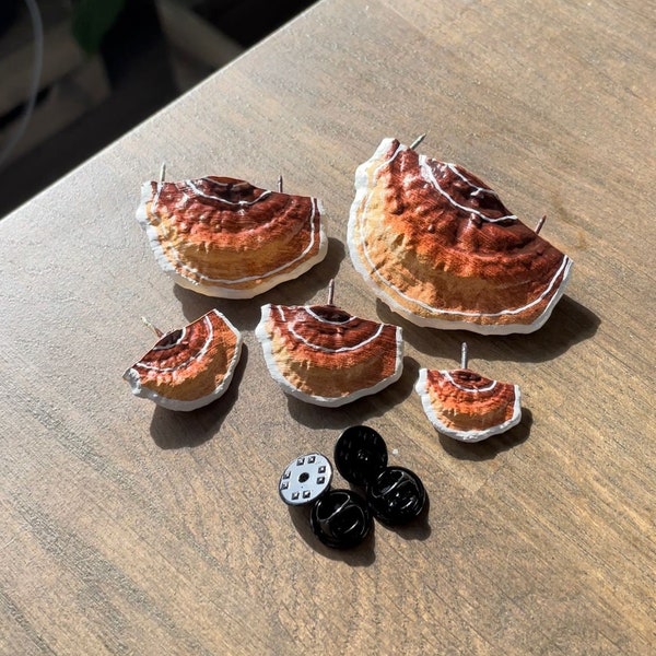 Reishi Mushroom Pins/Shelf fungi, beige/brown (Set of 5)