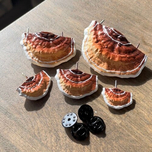 Mushroom Pins/shelf Fungi Brown set of 5 Etsy