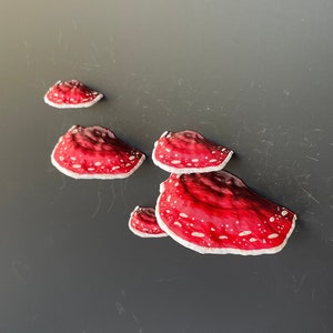 Mushroom Magnets, 3D fridge magnets (Set of 5) - "red Amanita"