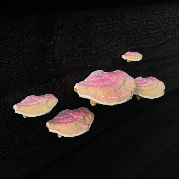 stick-on Mushrooms/Shelf fungi, Fairycore (set of 5), RENTER FRIENDLY