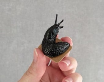 Slug Snail Pins