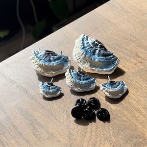 Mushroom Pins/Shelf fungi, blue/beige 'Goblincore' (Set of 5)