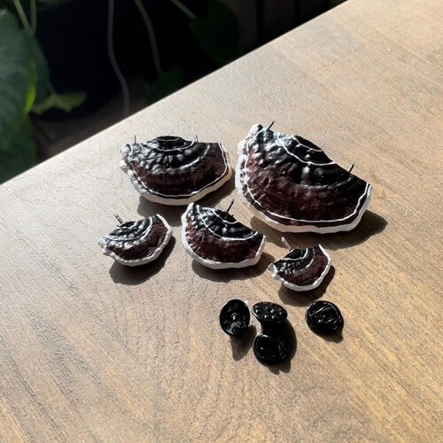 Mushroom Pins/shelf Fungi Orange set of 5 Etsy